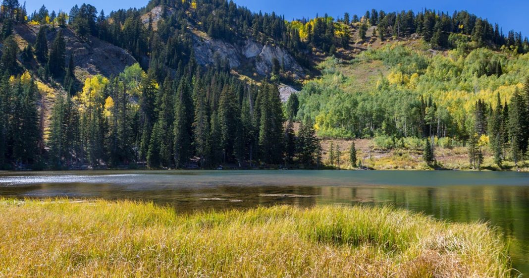 Sen. Mike Lee removes public lands provision from Trump's 